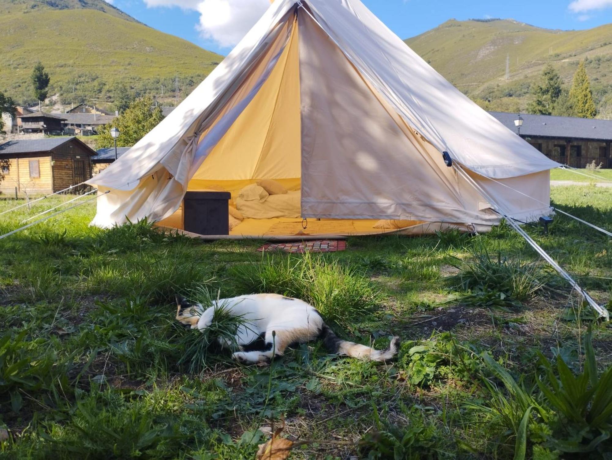 Camping La Zarapica - Palacios Del Sil 外观 照片